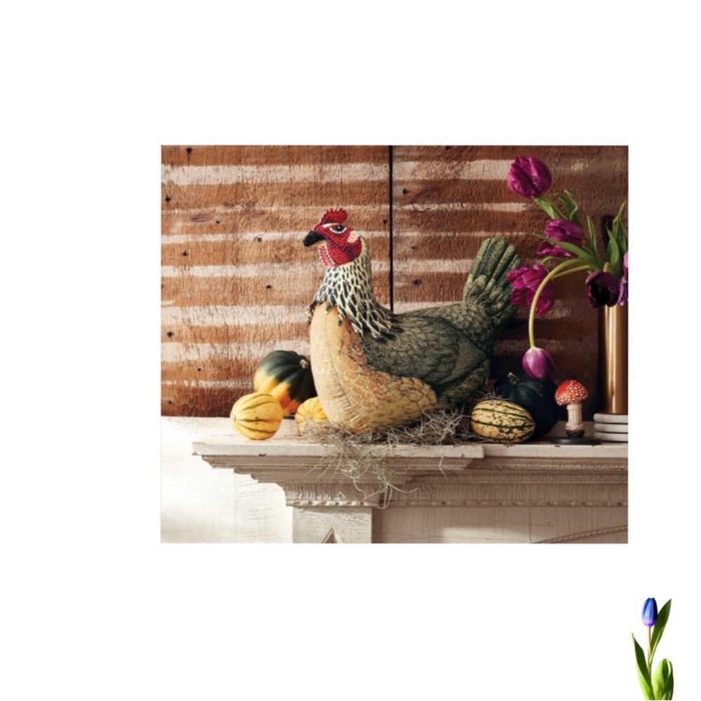 John Derian Chicken
Beaded Pillow 14X13 New - Picture 3 of 8